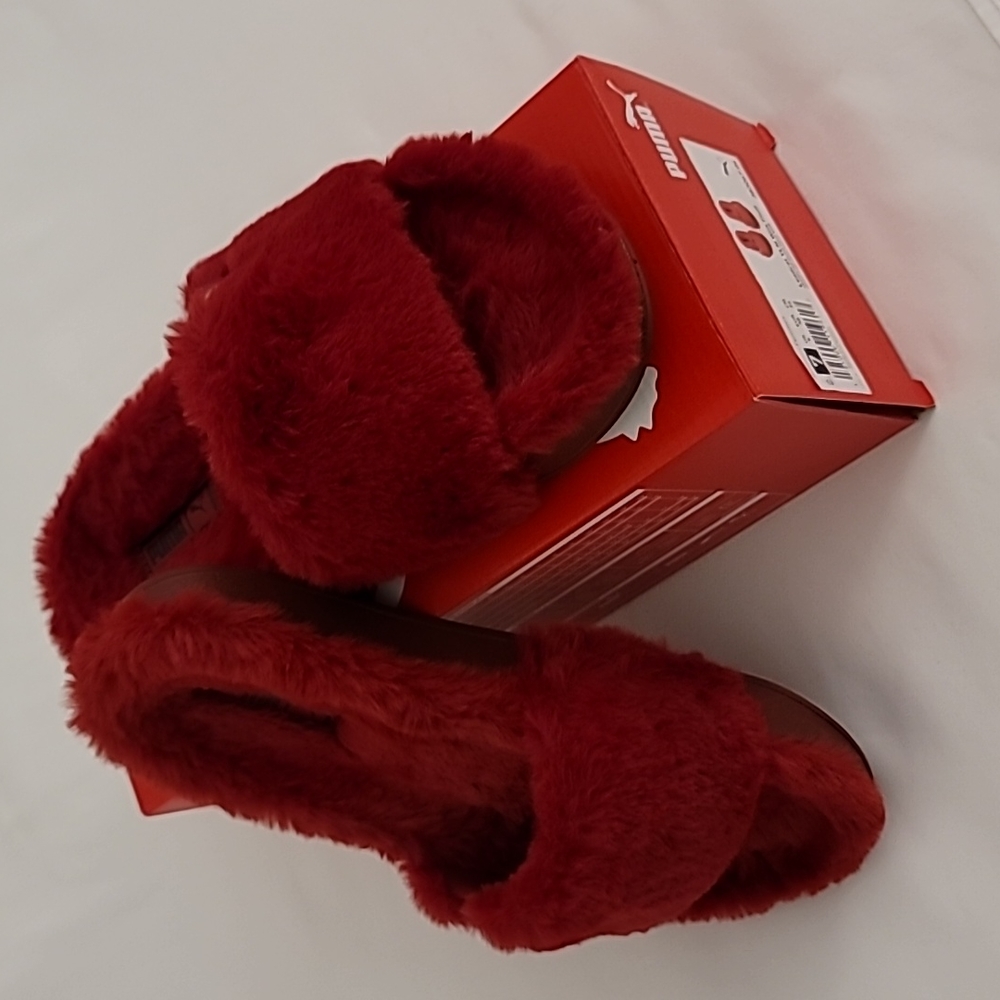 PUMA Slides